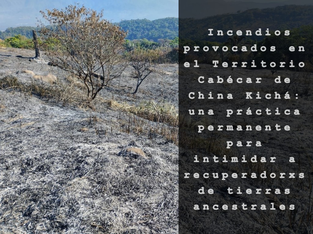 COSTA RICA. Incendios provocados en el Territorio Cabécar de China Kichá, una práctica permanente para intimidar a recuperadorxs de tierras ancestrales