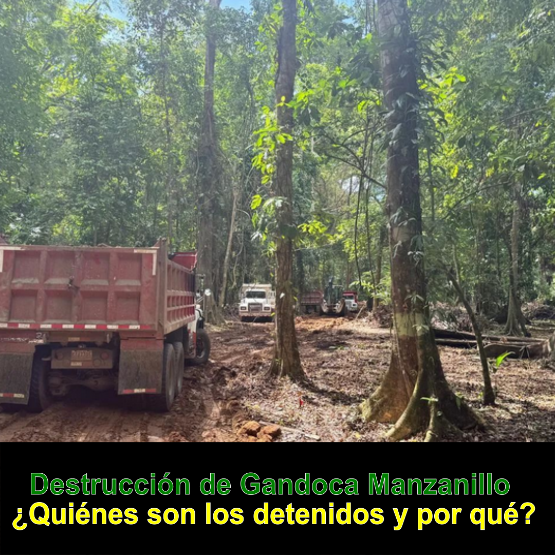 COSTA RICA. ¿Quiénes son los detenidos en el caso de la destrucción del bosque del Refugio de Vida Silvestre Gandoca Manzanillo?