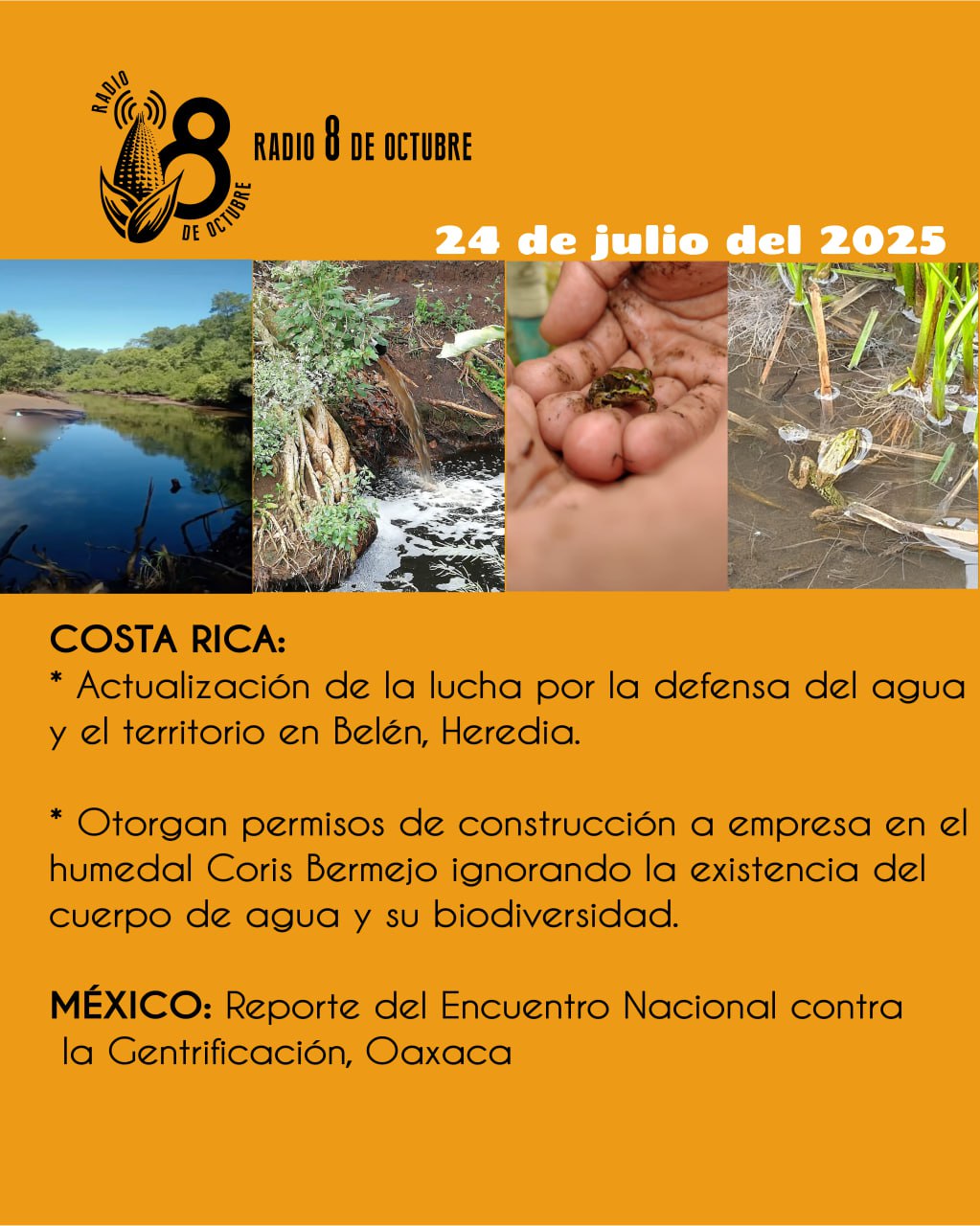 Programa semanal/ edición 24 de julio 2025