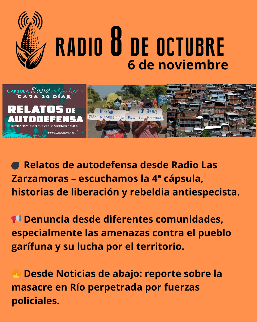 Programa semanal/ edición 6 de noviembre 2025