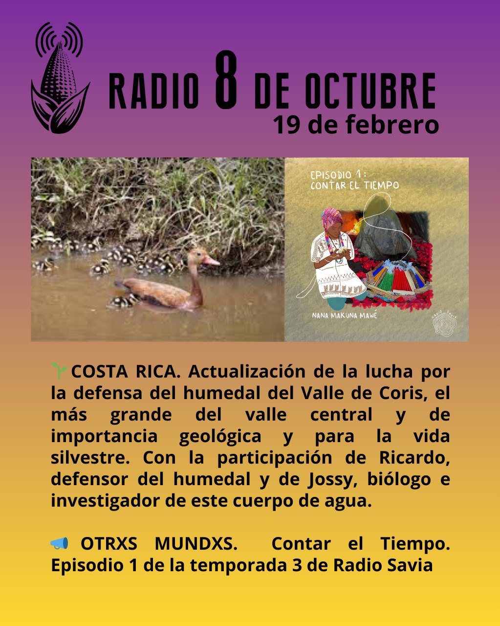 Programa semanal/ edición 19 de febrero 2026