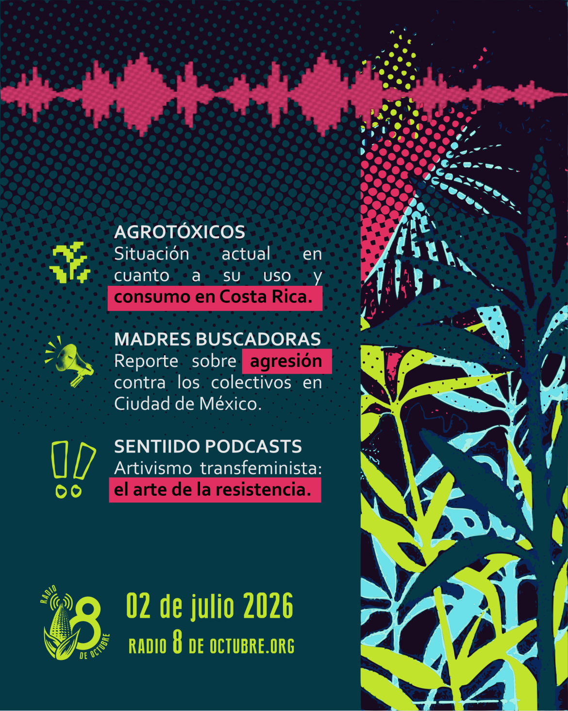 📻 Programa de Radio 8 de Octubre — 02 de julio 2026